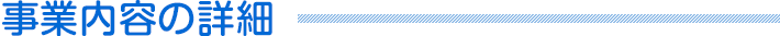 事業内容の詳細